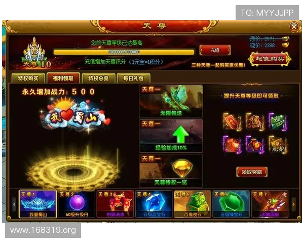 全面解析澳门VIP资料：最新信息与实用指南